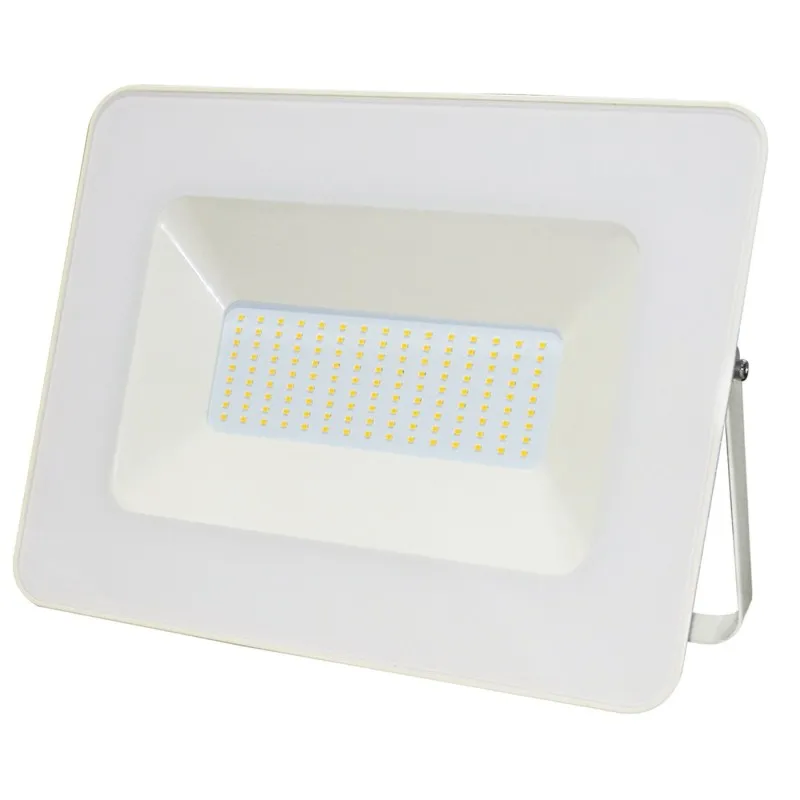 Alcapower Proiettore faretto led Bianco 230V 100W 6000K