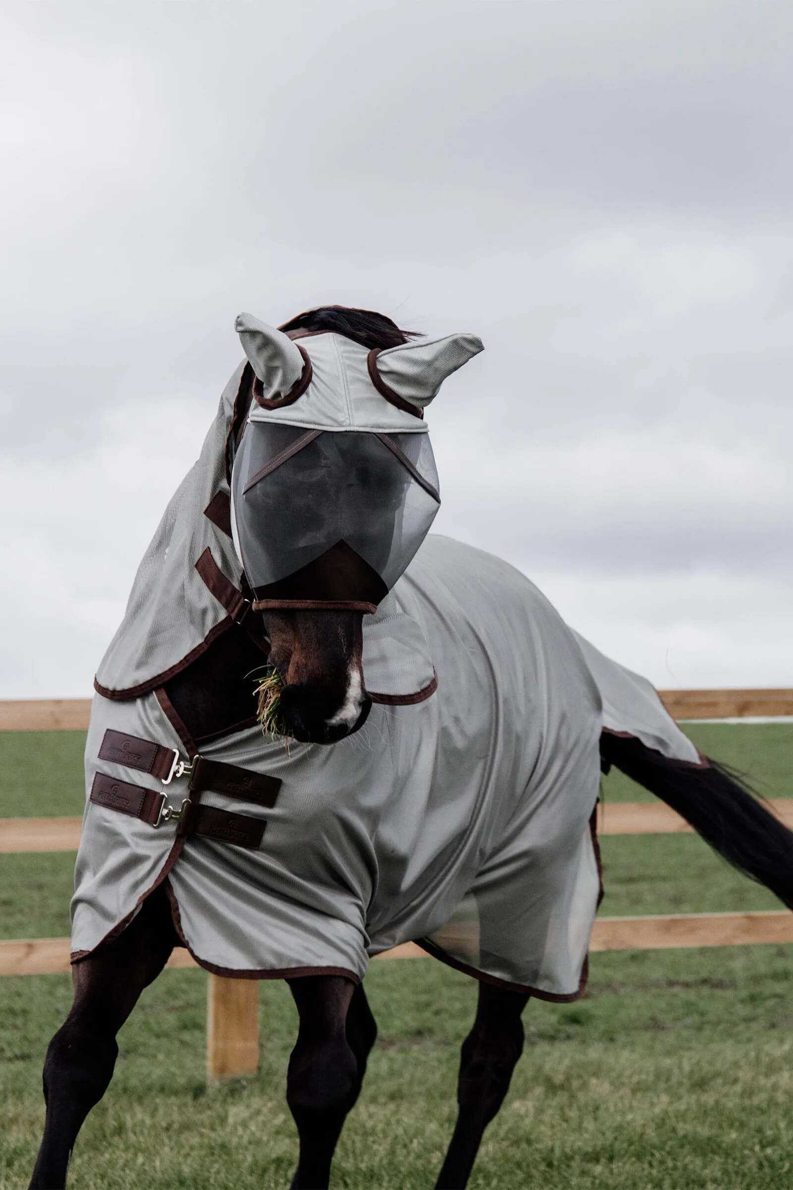 Kentucky Horsewear Classic Coperta antimosche impermeabile a rete