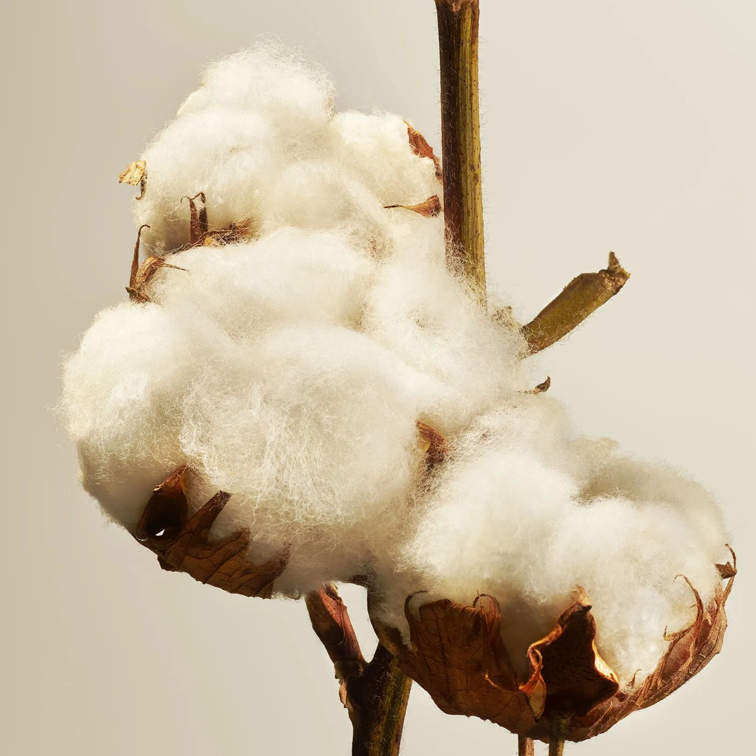 RITUALS   Cotton Blossom - Bastoncini profumati | 